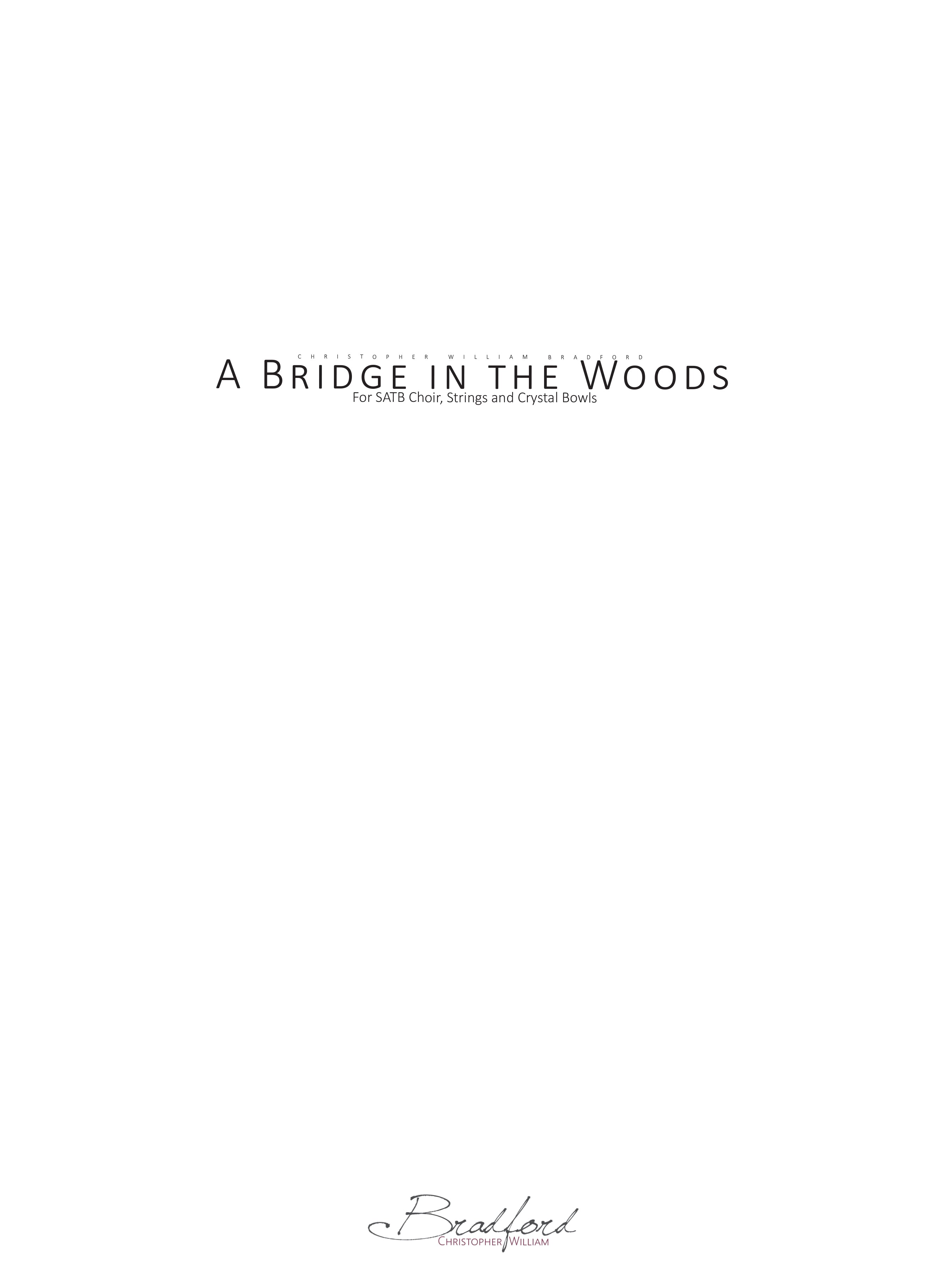 A Bridge in the Woods